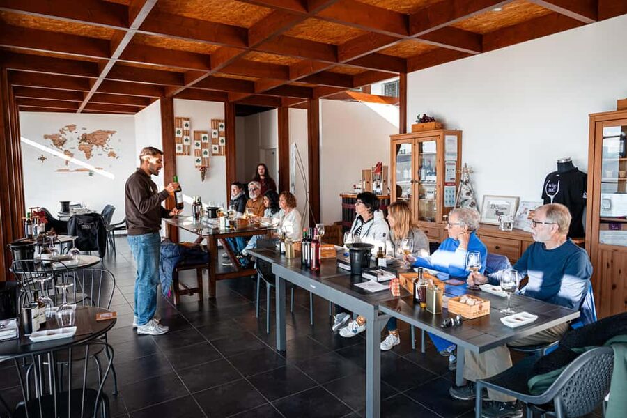 Porto: Douro Wine Tour with Lunch and River Cruise - Pinhão for lunch, local food, and a short break
