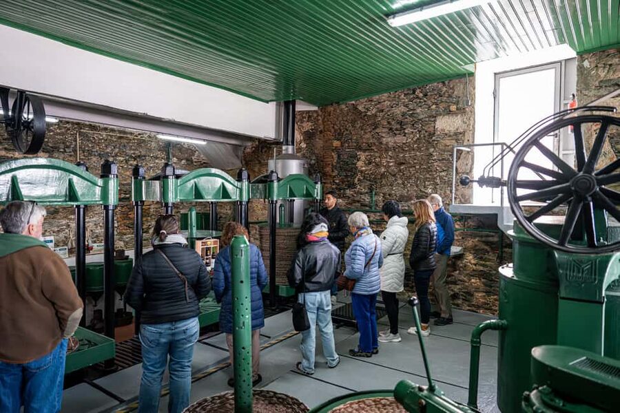 Porto: Douro Wine Tour with Lunch and River Cruise - The return to Porto and the value of the schedule