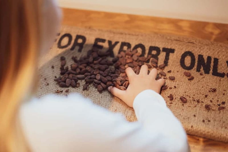 Porto: Entry Ticket at WOW The Chocolate Experience by 20|20 - Meeting the cacao plant and the farm behind the bar