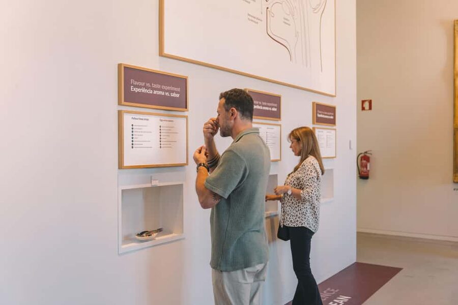 Porto: Entry Ticket at WOW - The Wine Experience Museum - From soil and climate to the first grape