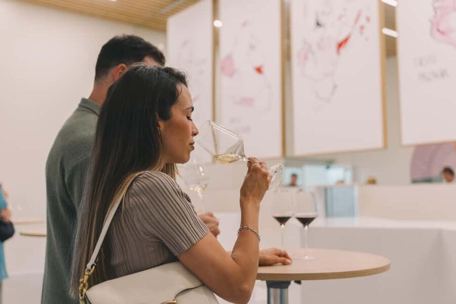 Porto: Entry Ticket at WOW - The Wine Experience Museum - Interactive displays that keep wine from becoming dry