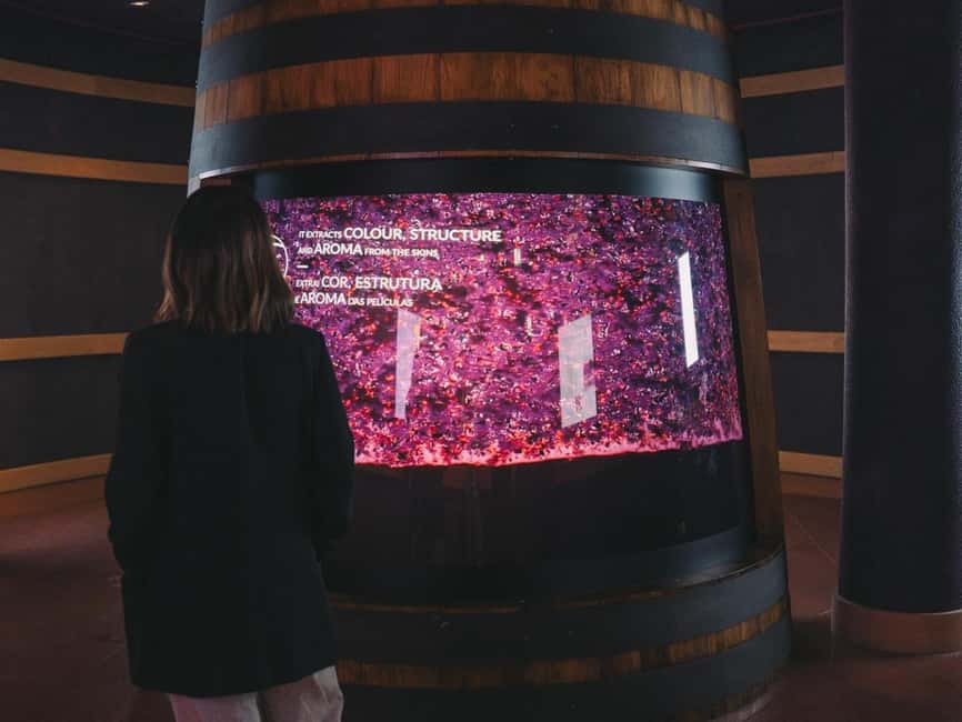Porto: Entry Ticket at WOW - The Wine Experience Museum - How much time should you allow?