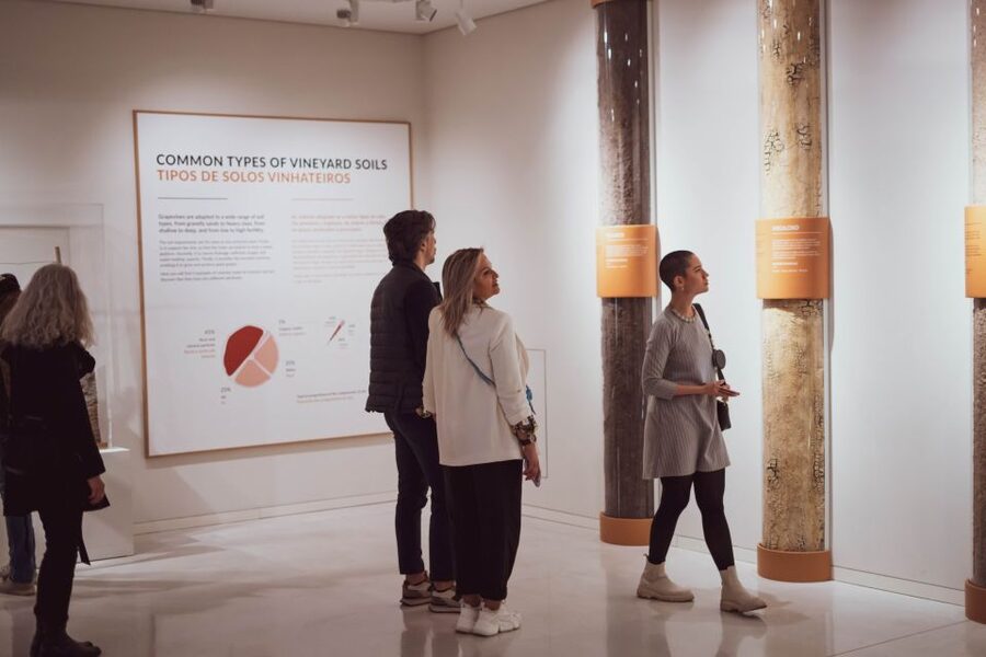 Porto: Entry Ticket at WOW - The Wine Experience Museum - Is the museum suitable for beginners?