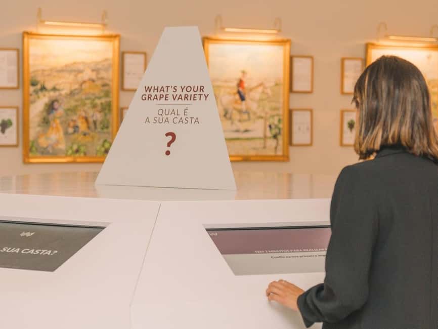 Porto: Entry Ticket at WOW - The Wine Experience Museum - Is it worthwhile for serious wine fans?