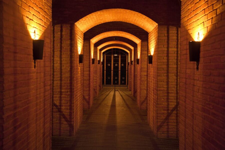 Porto: Graham's Port Lodge Tour with Premium Wine Tastings - Key points to know before you book