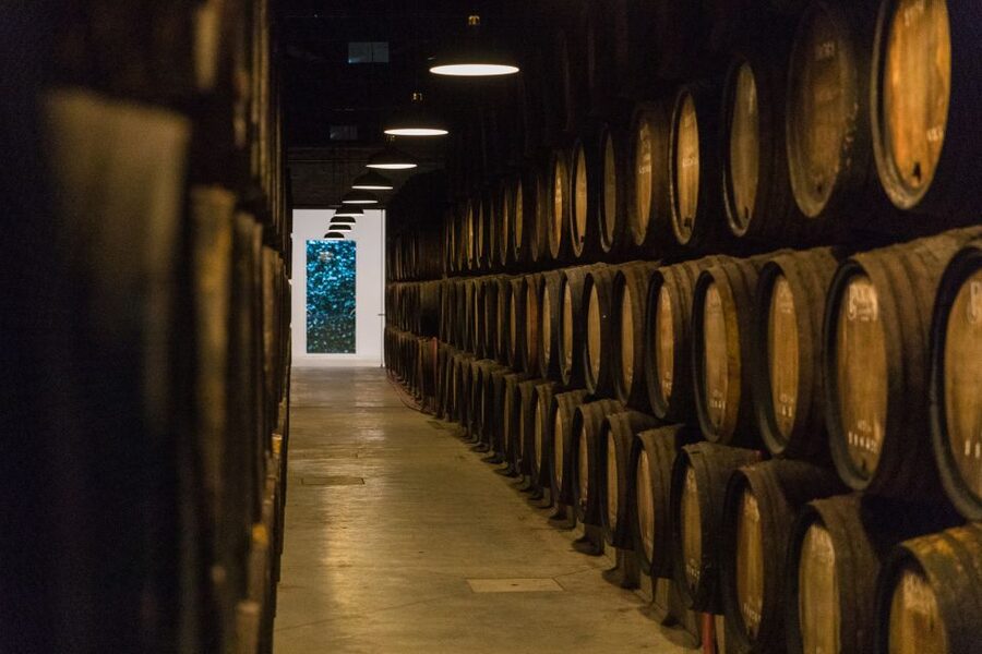 Porto: Guided Tour and Tasting of 3 Port Wines at Poças - Key Points Before You Book