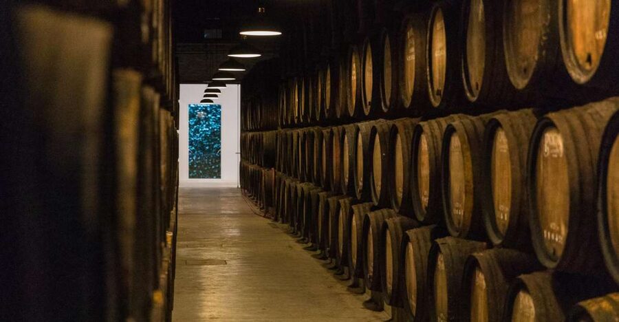 Porto: Guided Tour and Tasting of 3 Port Wines at Poças - What You Learn About the Douro Valley