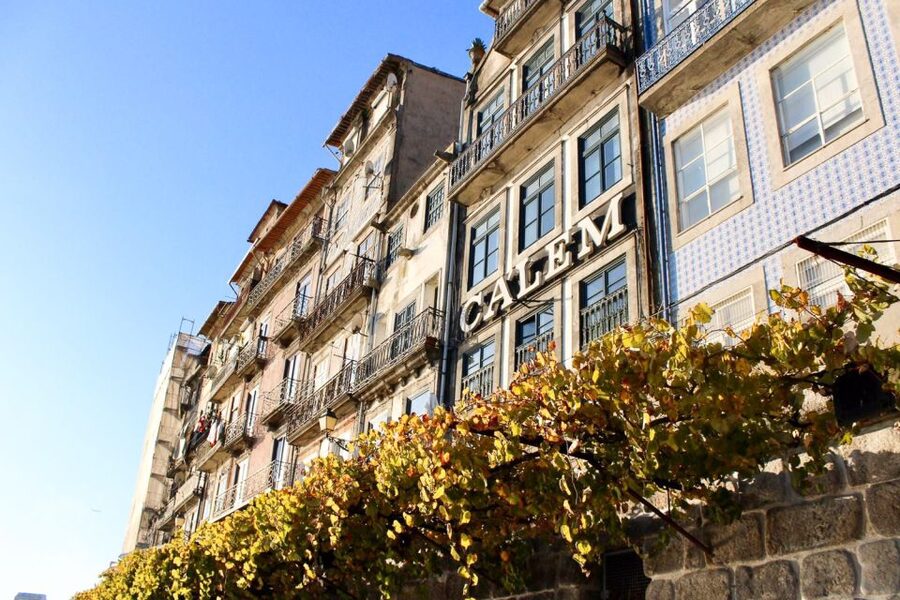 Porto: Guided Walking Tour and Lello Bookshop - Clérigos Church and the central hill