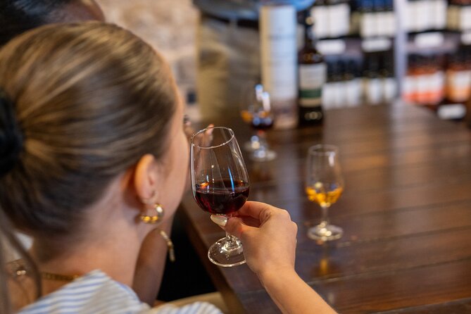 Porto Half-Day Guided Historical Tour with Port Cellar Visit and Tasting - The port cellar visit is the strongest paid feature