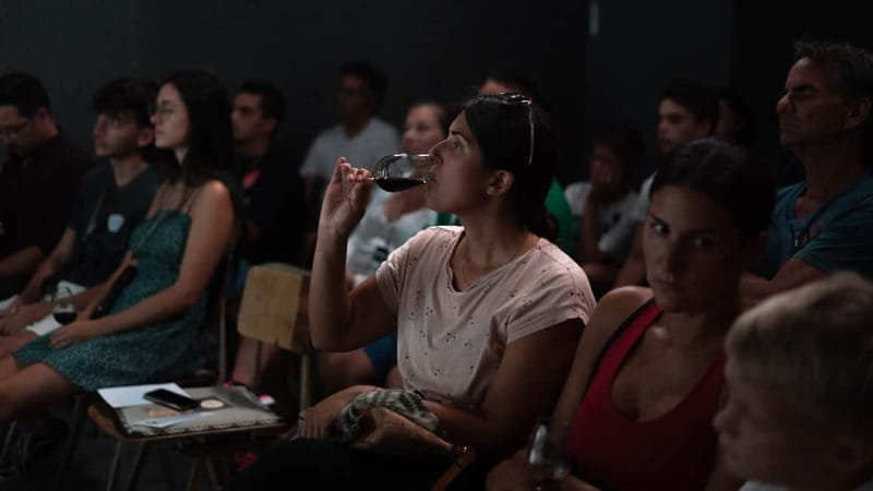 Porto: Live Fado Concert with Glass of Tawny Port Wine - Traditional roots, modern changes, and audience connection
