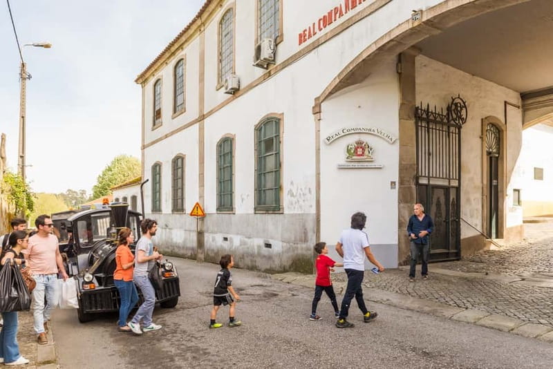 Porto: Magic Train Tour and Port Wine Cellar with Tastings - Why this Porto tour works as a first-day orientation