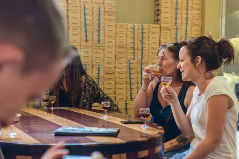 Porto: Magic Train Tour and Port Wine Cellar with Tastings - The Magic Train through Porto’s old center
