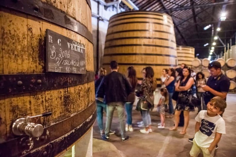 Porto: Magic Train Tour and Port Wine Cellar with Tastings - Starting at Porto Cathedral