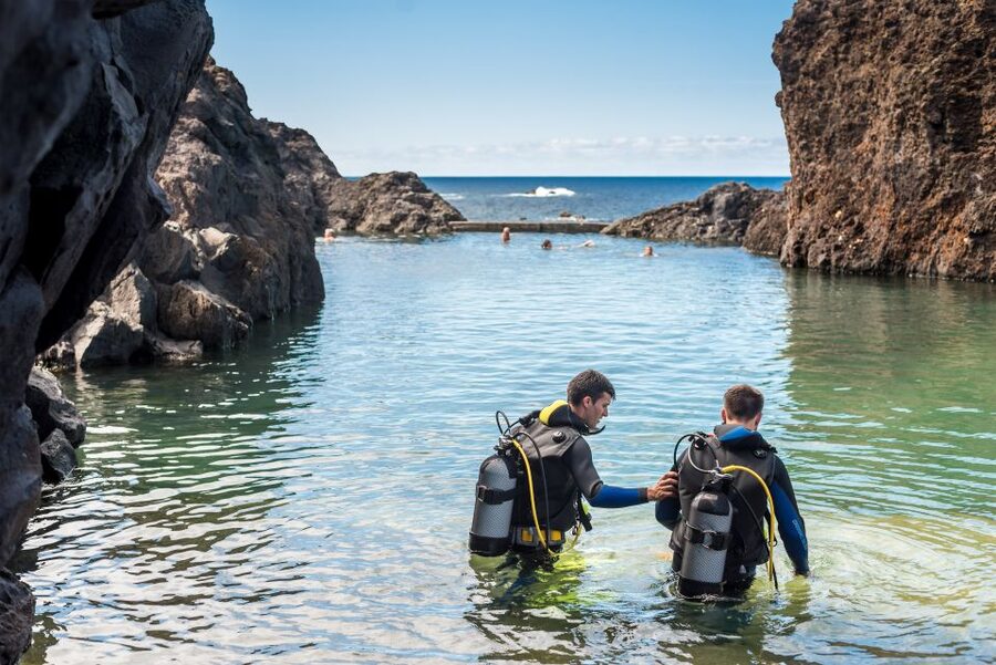 Porto Moniz: Diving with Sharks and Rays in Madeira Aquarium - Safety, timing, and what to pack