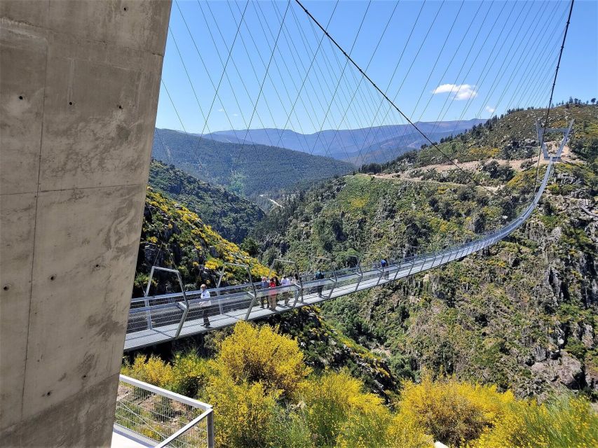 Porto: Paiva Walkways and Suspension Bridge Hike with Lunch - Why this day trip works from Porto