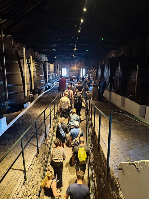 Porto: Port and Douro Wine Walking Tour with 9 Tastings - Why Gaia is the right place to learn about Port