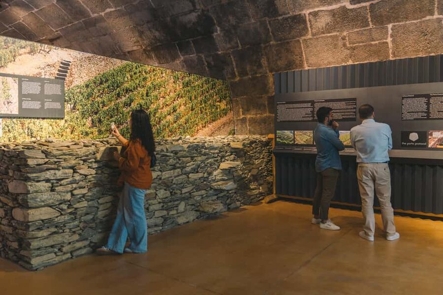 Porto: Port Cellar Visit and Wine Tasting at Fonseca - From the Douro Valley to Quinta do Panascal