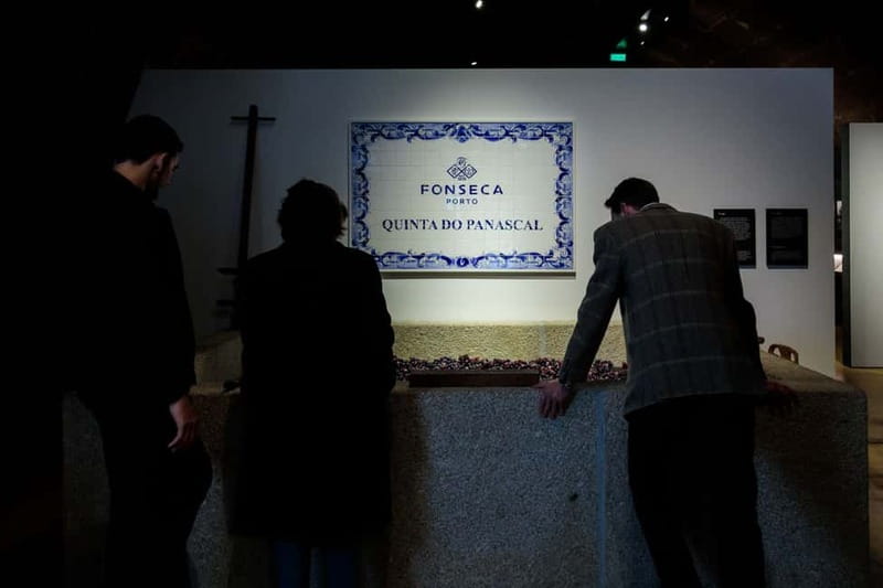 Porto: Port Cellar Visit and Wine Tasting at Fonseca - Who will enjoy Fonseca most
