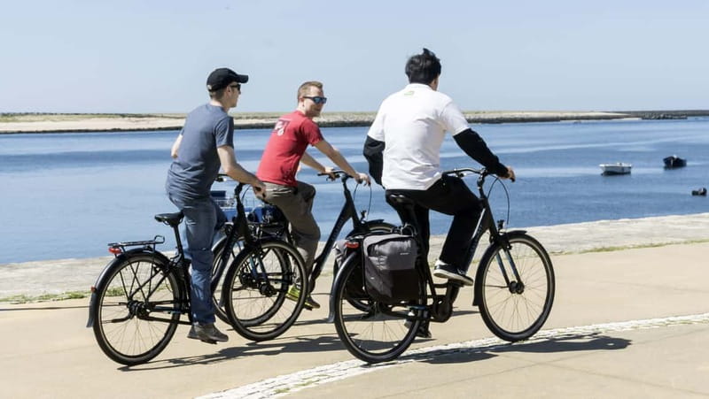 Porto Private E-Bike Tour: Douro River, Parks & Beaches - From Alfândega to Massarelos