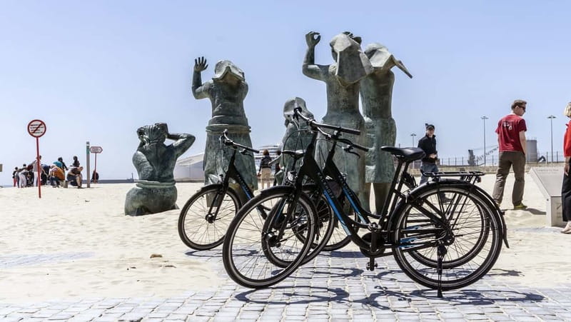 Porto Private E-Bike Tour: Douro River, Parks & Beaches - The green return through Parque da Cidade