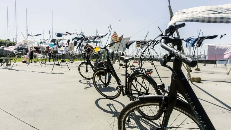 Porto Private E-Bike Tour: Douro River, Parks & Beaches - What the guide adds to the ride
