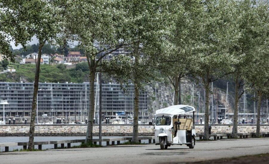 Porto: Private Sightseeing Tour by Electric Tuk Tuk - The bridge, Gaia, and river panoramas