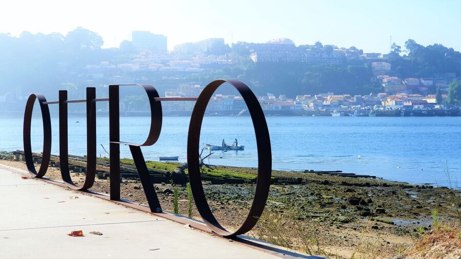 Porto: Private Tuk-Tuk Tour with Short Walks and Wine - Clérigos Tower, Lello Bookshop, and Lion’s Square