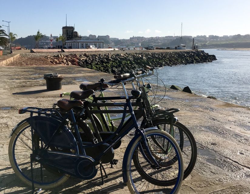 Porto: Riverside Panoramic E-Bike Tour - Jardim do Cálem, a green pause by the river