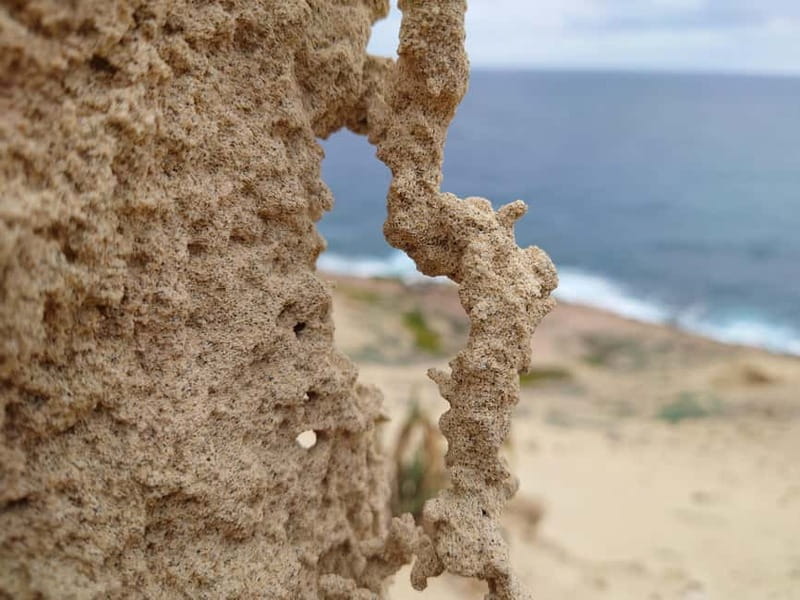 Porto Santo: Island Highlights 4x4 Tour with Hotel Transfers - What to bring, and what to leave behind