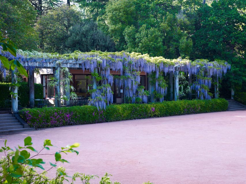 Porto: Serralves Foundation All Access Pass - Who will enjoy Serralves most?