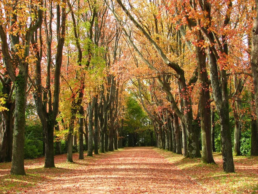 Porto: Serralves Foundation All Access Pass - How to plan your one-day visit