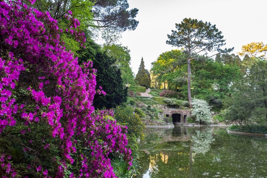 Porto: Serralves Foundation All Access Pass - Is the $28 pass good value?