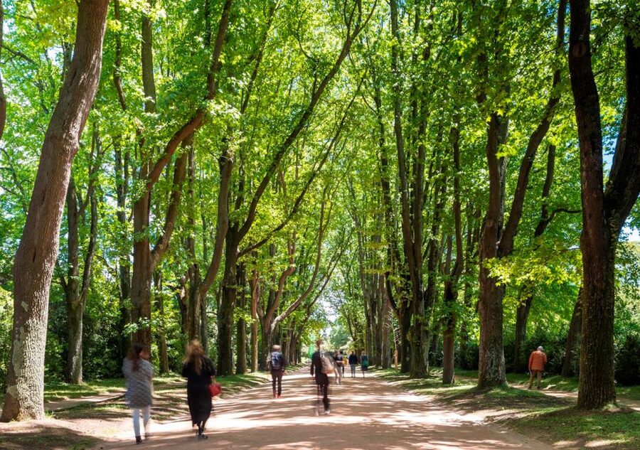 Porto: Serralves Park Entry Ticket - How much time should you allow?
