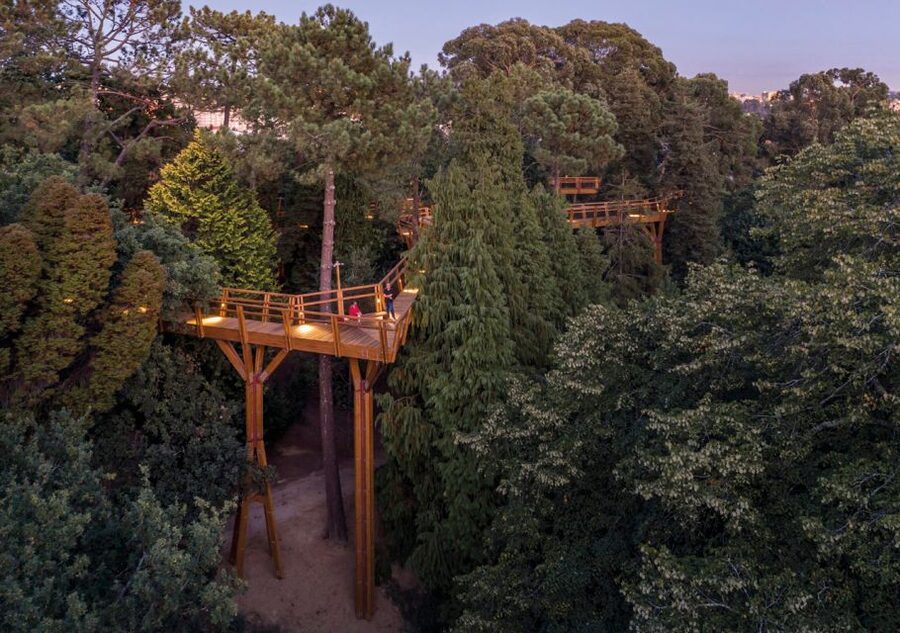 Porto: Serralves Park Entry Ticket - What your one-day visit includes