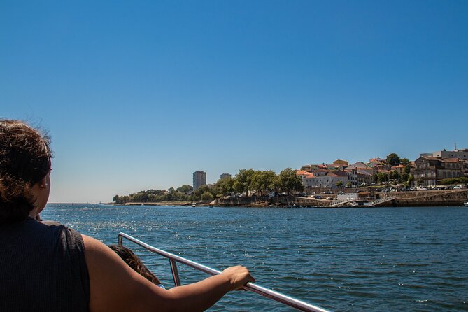 Porto Six Bridges Panoramic Cruise on the Douro River - Choosing between open-air and covered seating