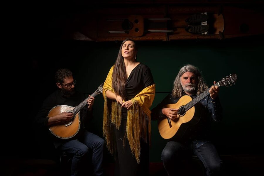 Porto: The Authentic Fado Concert with Port Wine - Who will enjoy this Fado experience most?