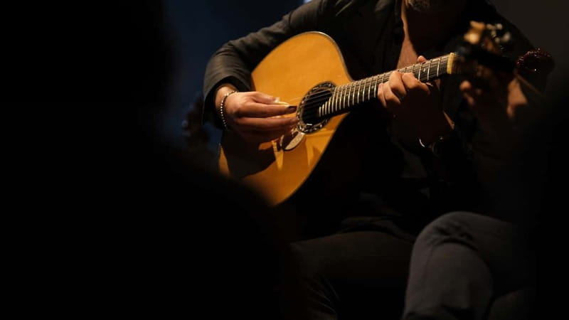 Porto: The highest-rated traditional fado concert (downtown) - A short introduction before the music