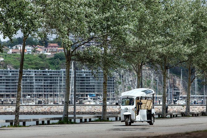 Porto Tuk Tuk: Clérigos, Seaside & Viewpoints - with Options - What your guide adds to the ride