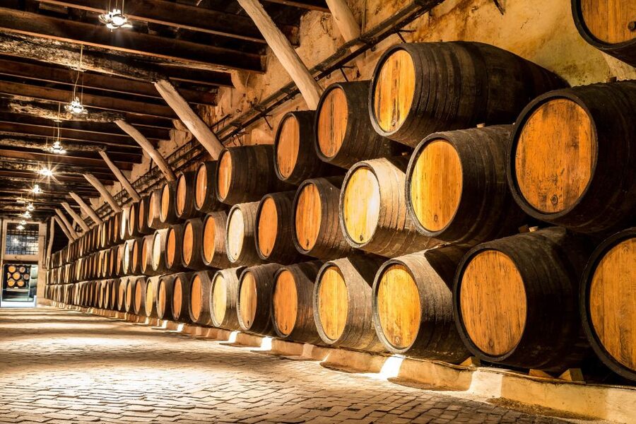 Porto: Tuk-Tuk Tour, Douro River Cruise, and Wine Tasting - Should you book this Porto tour?