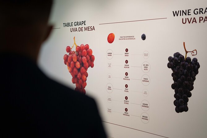 Porto: Wine Experience Museum with 3 Wine Tastings - Is the $30.23 price good value?
