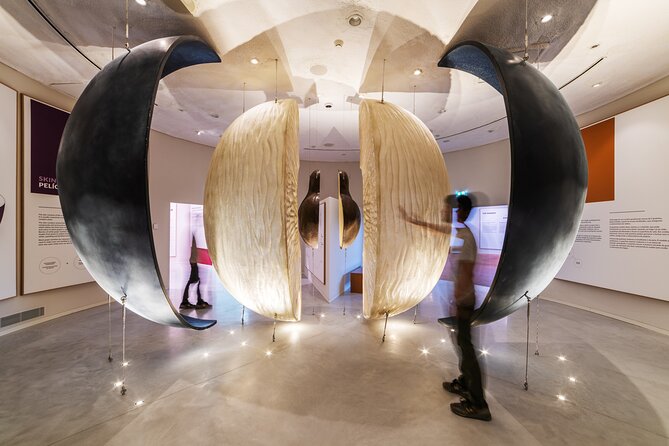Porto: Wine Experience Museum with 3 Wine Tastings - Following wine from grape to glass