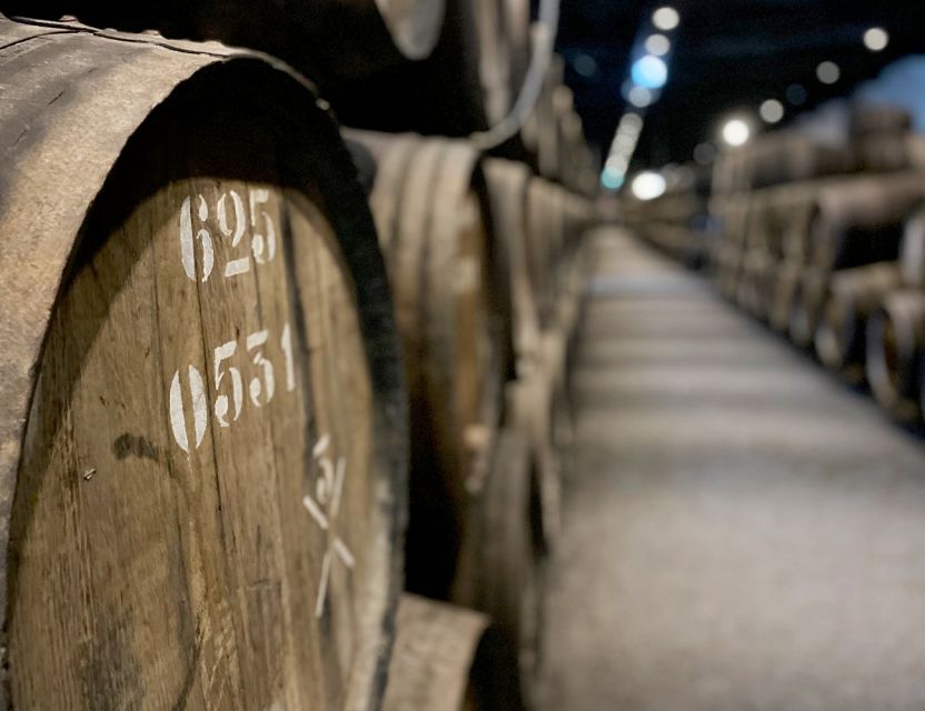 Porto: Wine Tasting with Tapas Walking Tour - The guides make the biggest difference
