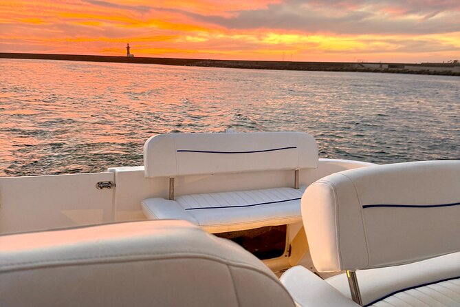 Porto: Yacht Small-Group Douro River Cruise & 6 Bridges w/ Drink - Ponte da Arrabida gives you the first bridge view