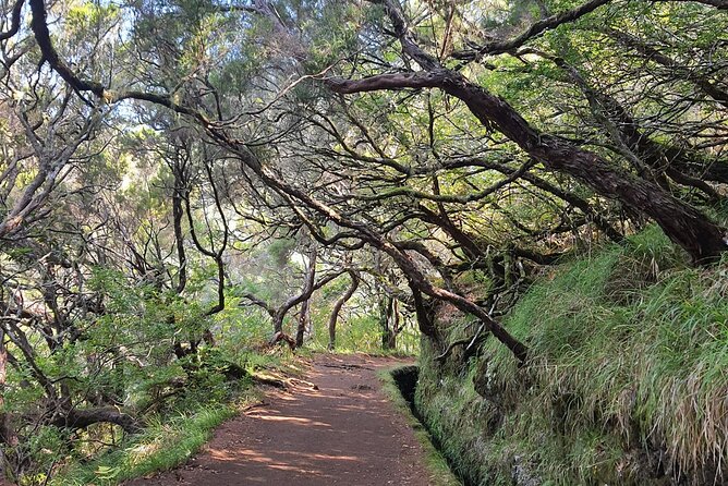 PR6 & PR6.1 25 Fontes & Risco Levada Self-Guided Hiking Rabaçal - Key points before you book