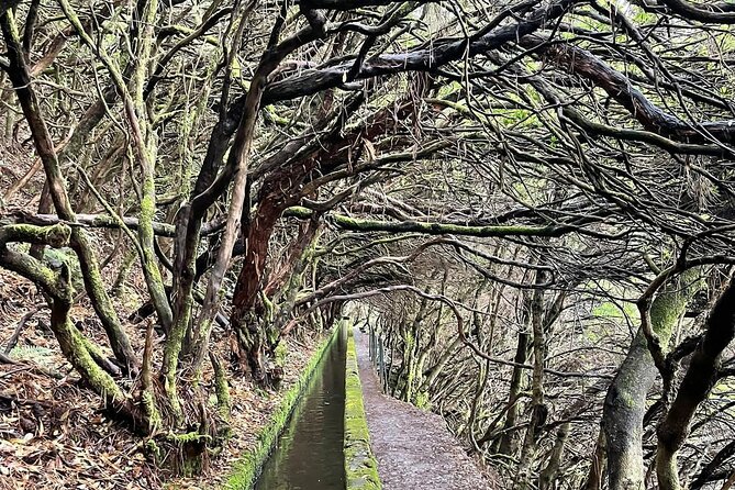PR6 & PR6.1 25 Fontes & Risco Levada Self-Guided Hiking Rabaçal - Why this self-guided Madeira hike works