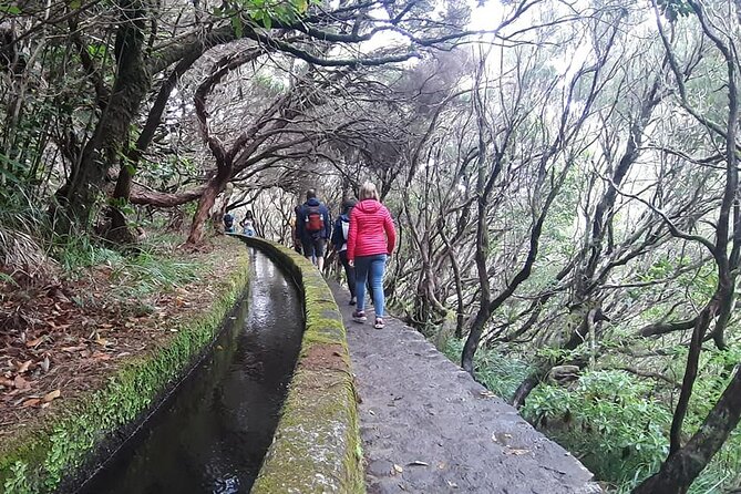 PR6 & PR6.1 25 Fontes & Risco Levada Self-Guided Hiking Rabaçal - PR6.1 and the Levada do Risco waterfall