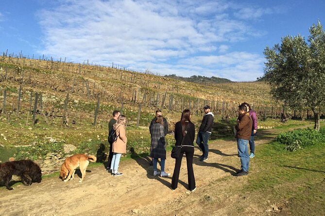 Premium Douro Valley Small-Group Tour, Wine Tasting, Lunch & Boat - Why this Douro tour works well as a day trip from Porto
