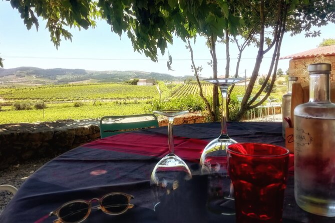 Premium Douro Valley Small-Group Tour, Wine Tasting, Lunch & Boat - The morning drive to Quinta do Panascal