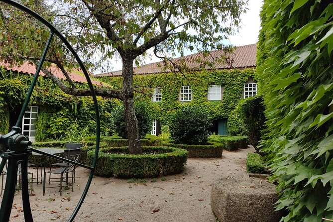 Premium Douro Valley Small-Group Tour, Wine Tasting, Lunch & Boat - Wine, food, and how much alcohol to expect