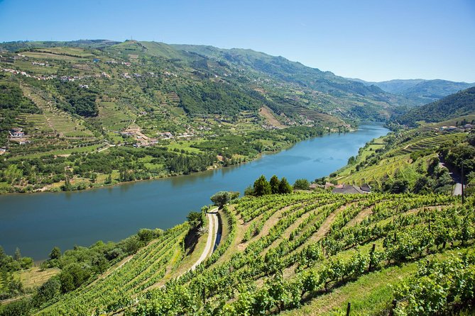 Premium Douro Valley Small-Group Tour, Wine Tasting, Lunch & Boat - The driving question: comfort, safety, and time